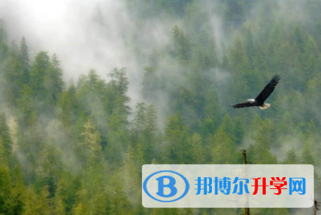 內江2022年中考線預測