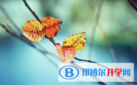 內江2022年中考招生計劃查詢