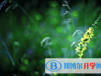 內(nèi)江2022年中考招生網(wǎng)絡(luò)應(yīng)用服務(wù)平臺