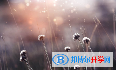 內江2022年中考政策