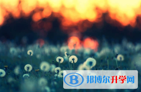 內(nèi)江2022年中考指南