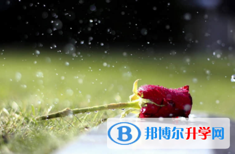 內江2022年中考重點線錄取