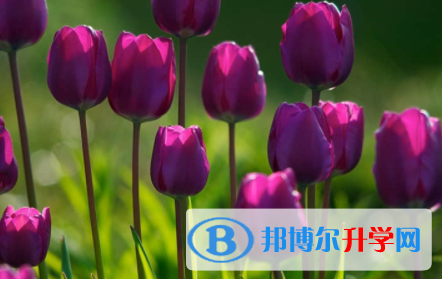 內江2022年中考重點線上線率