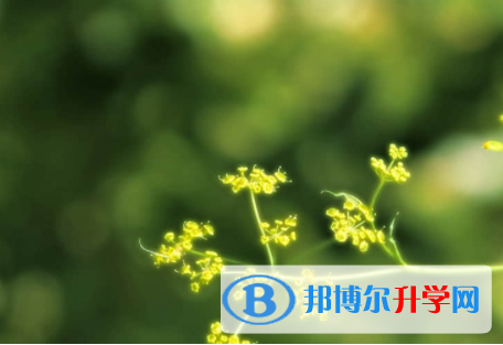 內江2022年中考咨詢熱線電話號碼