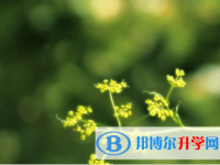 內(nèi)江2022年中考咨詢熱線電話號碼