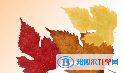 內(nèi)江2022年中考自主招生辦法