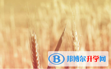 內江2022年中考自主招生報名
