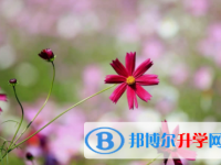內(nèi)江2022年中考自主招生時間