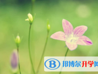 內(nèi)江2022年今年中考哪些學校有招生