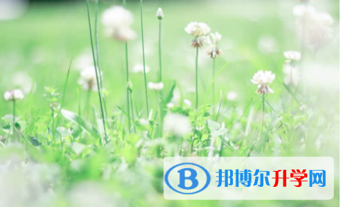 內江2022年今年中考難度