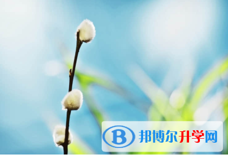 內江2022年中考日期