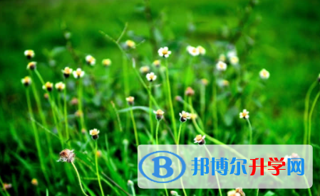 內江2022年中考落榜的出路