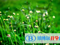內江2022年中考落榜的出路