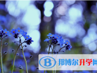 內江2022年中考準考證丟了怎么辦