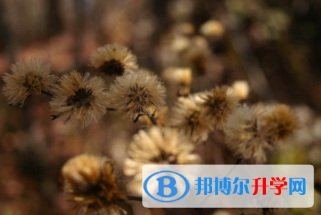 內(nèi)江2022年中考有不有補(bǔ)錄