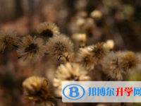 內江2022年中考有不有補錄