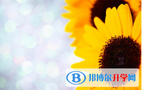 內江2022年中考怎么飲食