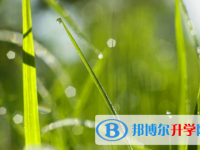 內江2022年中考怎么作弊是最好的