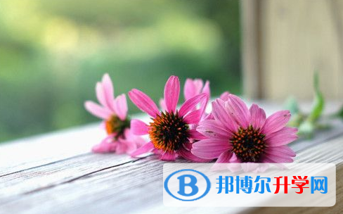 內江2022年中考是多少科