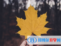 內江2022年中考是否有高價生