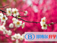 內江2022年中考如果未被錄取怎么辦
