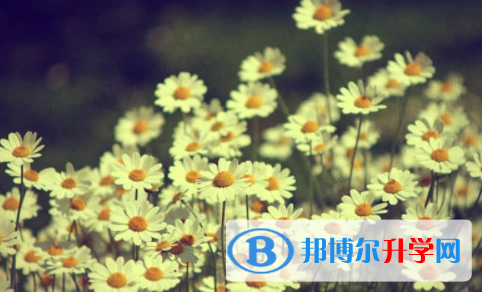 內江2022年中考沒考好