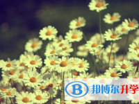 內江2022年中考沒考好