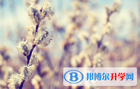 內江2022年中考沒考好可以復讀嗎