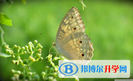 內江2022年中考沒考好怎么辦