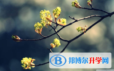 內江2022年中考沒有被學校錄取咋辦