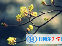 內江2022年中考沒有被學校錄取咋辦