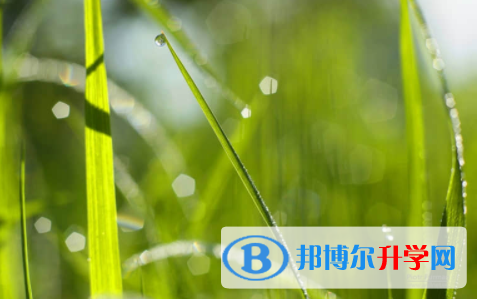 內江2022年中考沒有考上怎么辦