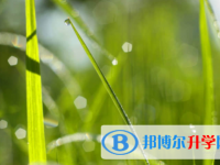 內江2022年中考沒有考上怎么辦