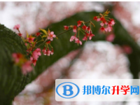 內江2022年中考落榜了怎么辦