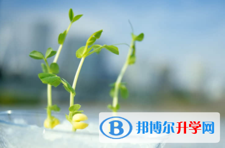 內江2022年中考報名自薦信怎么寫