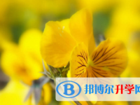 內江2022年怎樣中考正常發揮