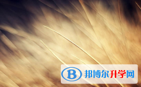 內(nèi)江2022年沒有學(xué)籍可以參加中考嗎