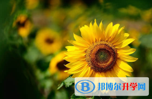 內江2022年中考志愿更改