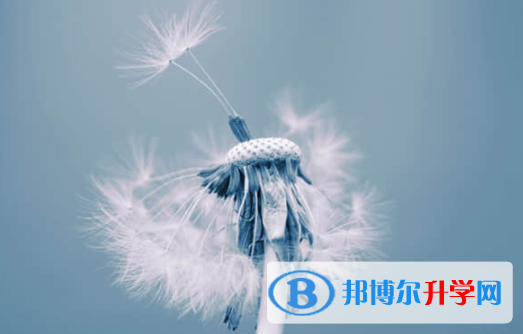 內江2022年中考志愿可以填幾個