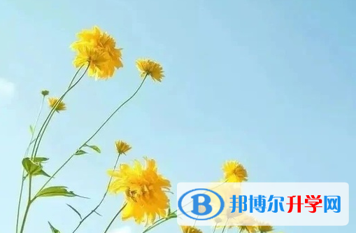 內江2022年中考志愿能不能修改