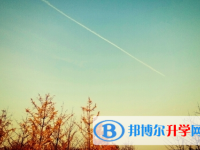樂山2022年查詢中考成績上哪個網(wǎng)站