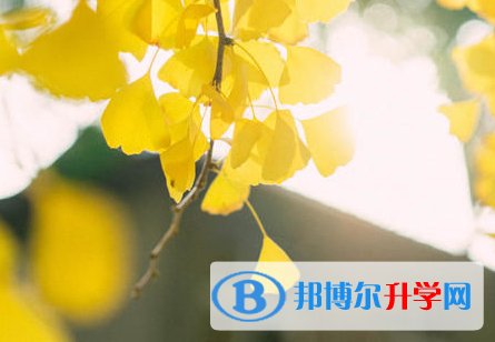 樂(lè)山2022年今年的中考成績(jī)