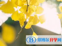 樂山2022年今年的中考成績