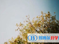 樂山2022年怎樣從網(wǎng)上查詢中考成績