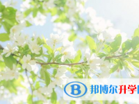 樂山2022年中考體育考試成績(jī)查詢