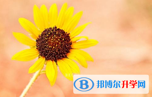 樂山2022年中考在哪查詢成績