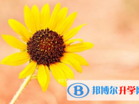 樂山2022年中考在哪查詢成績(jī)