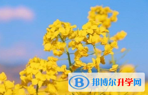 樂山2022年二類學(xué)校中考