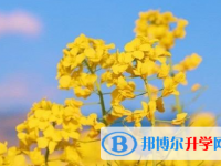 樂山2022年二類學校中考