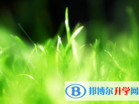 樂山2022年各個學校中考錄取線